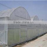 Greenhouse Film thumbnail-3