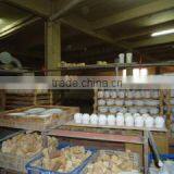 Fujian Dehua Worthful Ceramic Co., Ltd. company overview - view 2 thumbnail