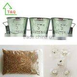 3 Set Tin Pot Tray Garden Porch Windowsill Metal Plant Pot thumbnail-2