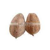 Natural Cocount From India thumbnail-3