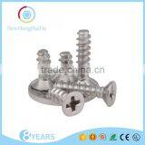 China Product Self Tapping Screw for Iron and Stainless Steel thumbnail-2