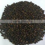 VIETNAM BLACK PEPPER 570G/L (Mobile: 0084965152844-Viber/Whatsaap)