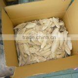 Cuttlefish Bone From Viet Nam With Best Price
