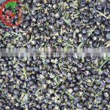 Black Goji Juice Concentrate 65% Brix thumbnail-2