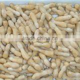 Hot Sales Canned Drumstick Mushroom thumbnail-3