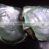 Big Black Lip Mother of Pearl Raw Shell Products