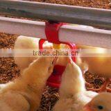 Farming Poultry Automatic Feeding System for Poultry Farming Equipment Auto. Feeding Pan System thumbnail-3