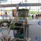 451Greenhouse Flower Display Equipment thumbnail-4