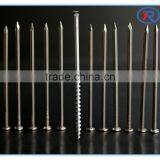 Cheap Price Polishing Common Nails/Common Wire Nails Made in China thumbnail-4