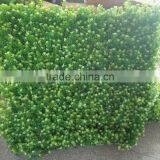 New Design Plants Artificial Wall for Decoration thumbnail-4