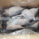 Frozen Moonfish150-200g/pc Whole Round IQF Mene Maculata thumbnail-2