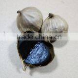 Delicious Naturally Organic Solo Black Garlic in Organic Vegetables--HC Company thumbnail-3