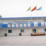 ISO9001:2008 Certificated Prefab color Lightweight Steel Structure Two-storey Movable House