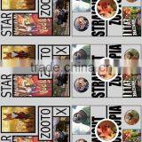 2017 Newest Customized Design Heat Transfers for Apparel thumbnail-5