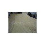 Rotary Cut Birch Veneer thumbnail-1