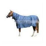 Horse Rain Sheet thumbnail-1