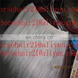 Horse mane hair / Thin horse mane hair for wigs