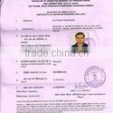 Om Power Engineers company overview - view 1 thumbnail