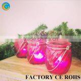 2016 New Design Hanging Glass Candle Holder With Metal Hanger for Sale