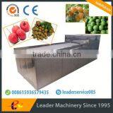 Leader automatic passion fruit pulper with website:leaderservice005