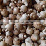 Drop Shaped Wooden Ball thumbnail-4