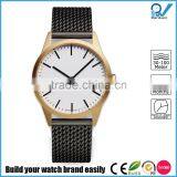 PVD Satin Gold Case Coating Stainless Steel Case 5ATM Waterproof Stainless Steel Brand Fashion Watch thumbnail-2