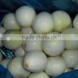 Export Fresh Onion thumbnail-1
