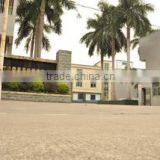 Dongguan Excel Industrial Co., Ltd. company overview - view 3 thumbnail