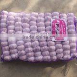 2015 No Pollution and New Harvested Garlic thumbnail-6