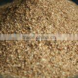 Sawdust for Mushroom Cultivation thumbnail-2