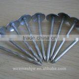 Cheap Price Finishing Nail Common Nails/Umbrella Head Roofing Nail With Big Head