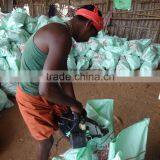 Good Quality Fully Husked Dry Coconut for Sell thumbnail-4