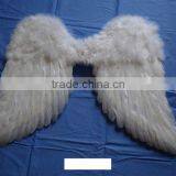 Wing Feathers
