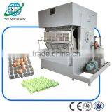 High Efficiency Egg Carton Machine China Supplier