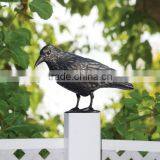 Black Feathered Small Halloween Crows