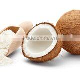 Best Seller of Desiccated Coconut Medium Grade High Fat 60% Min thumbnail-2