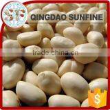 Salted Peeled Peanut Planting thumbnail-3