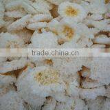 Snow White Fungus thumbnail-1