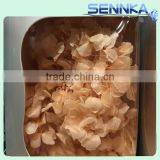 Natural Processing Fadeless Flower European Snowball Preserved Hydrangeas thumbnail-1