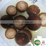 Buy direct from china wholesale canned shiitake mushroom