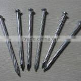 3" Galvanized concrete nails stainless steel nail with factory price