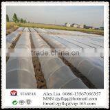 Steady Quality China Agricultural PP Non-woven Fabric,Crop Cover thumbnail-3