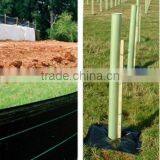 Eco-friendly Ground Cover thumbnail-5