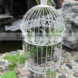 Antique Flower Iron Bird Cage for Sales thumbnail-5