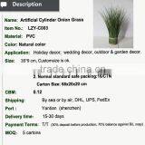 Hotsales Natural Cylinder Onion Grass for Garden Decoraction thumbnail-3