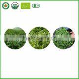 Top Grade Chinese Oolong Tea TiKuanYin Green Tea Weight Loss Anxi Tie Guan Yin Fresh China Tea Wholesale thumbnail-6