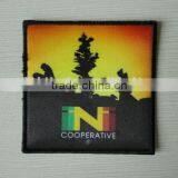 China Factory Eagle Cheap Custom Embroidery Patches Personalized Embroidery Patch thumbnail-4