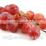 Red Grapes thumbnail-1
