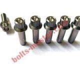 Titanium 12 Point Flange Screw thumbnail-1
