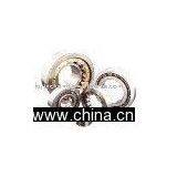 Cylindrical Roller Bearing thumbnail-1